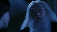 HARRY POTTER I KAMIEŃ CZ.7 PARODIA/PRZER&Ocirc;BKA