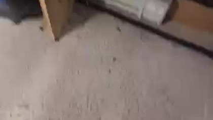 Garaż się pali!!! A to tylko testy ! webasto odpalone :) #diy #fail #ogrzewanie