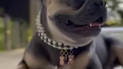 Bez przerwy, to samo.