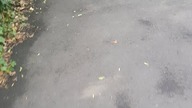 Szybki Live - Co Myślicie O Premierach Nikona :)