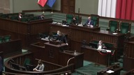Sośnierz MIAŻDŻY PISowską legislację: Kolejne ŁATY do DZIURAWEJ tarczy - Jak to jest możliwe?