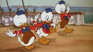 Kaczor Donald - Morscy skauci (1939)