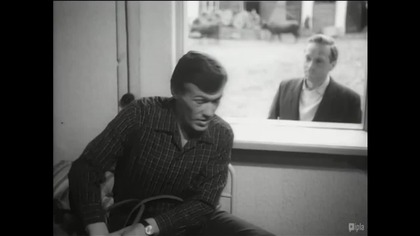 Cierpkie Głogi (1966)