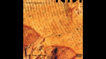Nine Inch Nails - Somewhat Damaged - The Downward Spiral Version