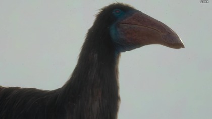 Prehistoric.planet. 2022. S01E03. 1080p