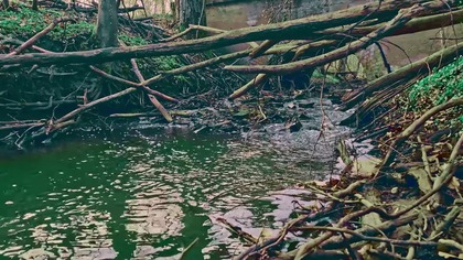Magia Starego Mostu; Relaksujące dźwięki wody w 4K