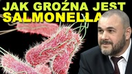 Kto chce ZNISZCZYĆ polskie drobiarstwo?! Epidemia salmonelli? Nie dajmy się zwariować! P.  Lisiecki