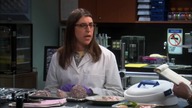 Teoria Wielkiego Podrywu - S04E10