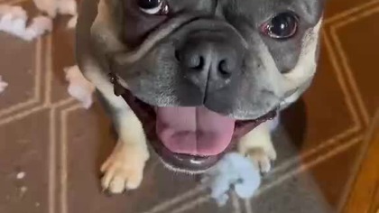 Ja nic nie zrobiłem, to on.