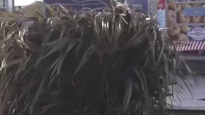 Miłość po angielsku nie dla Polaka