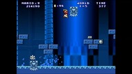 Mario Forever Icy Termes SakuraMotchi 2020