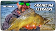 Okonie na jaskółki // Majówka // 2025