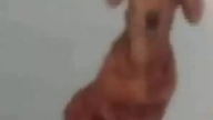 Jeż