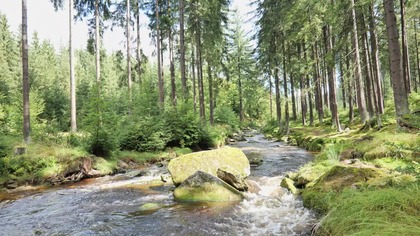 10H Mountain Forest Stream Relaksacyjny Szum Wody w Lesie
