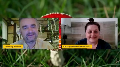 W szóstym odcinku z cyklu Z Naturą pod rękę Miłochna opowiada o amanicie, czyli muchomorze czerwonym oraz swistej modzie na jego stosowanie i odkłamywanie jego trujących właściwości. Dowiadujemy się o prozdrowotnym działaniu tego grzyba, ale też i ryzyku jego niewłaściwego spożywania. [ZN6]
------------------------------------------------------------
Zacznij wspierać ten kanał, a dostaniesz bonusy:
https://www.youtube.com/channel/UCZdpfHkscqF6ZDJTVcojP3g/join

Wesprzyj autora na Patronite: https://patronite.pl/TJK
Postaw kawkę na Suppi: https://suppi.pl/tjkosinski
Zrzutka na Wedukację: https://zrzutka.pl/sc4k7u

Zobacz strony:
https://kosinski.pl
https://wedukacja.pl

Facebook:
https://web.facebook.com/groups/wedukacja
https://web.facebook.com/WEDUKACJA
https://web.facebook.com/tomaszjkosinski

Telegram: https://t.me/wedukacja 
Discord: Wedukacja https://discord.com/channels/1301598548336443477/1304081929733144639

#natura #zdrowie #przyroda #las #naturoterapia #wedunka #dzikaprzyroda
