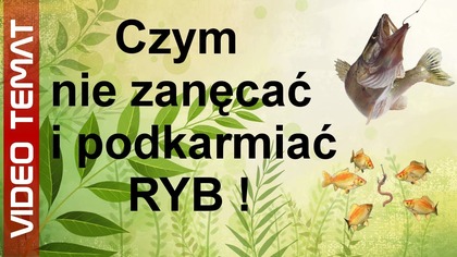 Czym nie karmić i zanęcać ryby