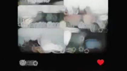 zbrodniarze niemieccy którzy niszczyli polską motoryzację