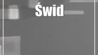 Świdnik: Nietypowa interwencja