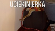 ZNALAZŁEM PYTONA!