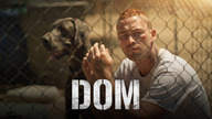 Dom (2020) Lektor PL