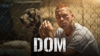 Dom (2020) Lektor PL