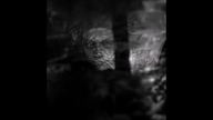 Shadows Veil - Gam