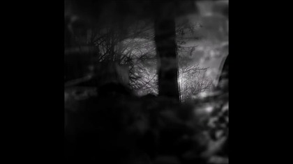 Shadows Veil - Gam