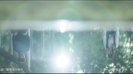 Wei Chen  &bdquo;Fall&rdquo;, Crush OST, napisy pl