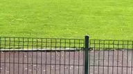 Górnik Zabrze