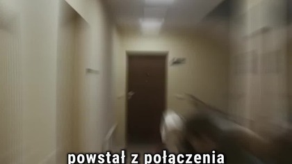 DOM DOBRY to film na faktach? #domdobry #smarzowski #filmpolski