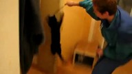 Kot czy wiewiórka?