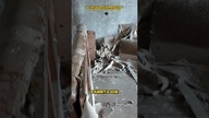 jak wyglądały mieszkania w Prypeci (Czarnobyl) #czarnobyl