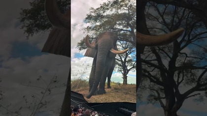 Jesteś w LAS VEGAS? Nawet się nie zastanawiaj! Musisz to zobaczyć - SPHERE #shorts