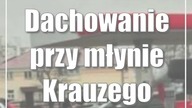 Dachowanie przy młynie Krauzego