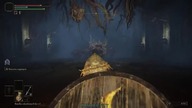 Ulcerated Tree Spirit - Hitless - 8 seconds - Elden Ring