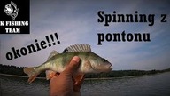 Dużo okoni // spinning z pontonu