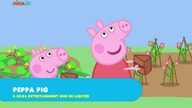 NICKJR DE - 26-08-2023 - Ident