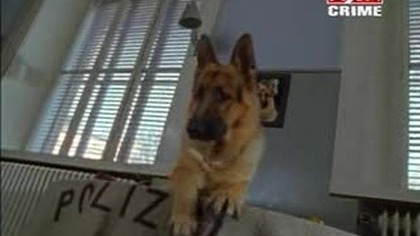 Komisarz Rex S06E03 (Okup)
