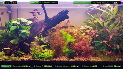 AkwaLive porządki [LIVE #144]