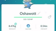 Fajny shiny w pokemon
