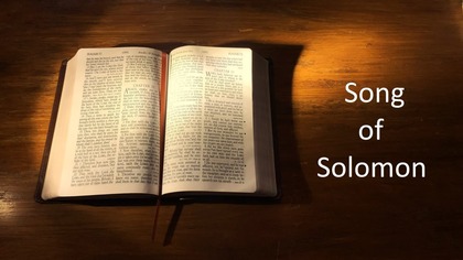 22.  Song of Solomon - ESV