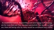 Most underrated shapeshifters in media (its not only werewolves!) part 2