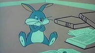 Rozkodowany Bugs Bunny 17 (Dubbing PL)