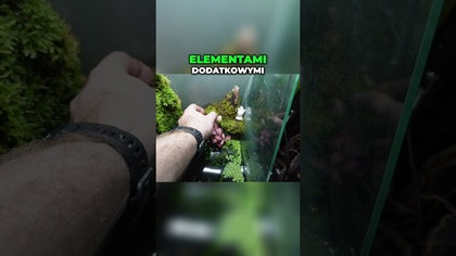 Dżdżownice i Robaki Niespodzianka w Paludarium!