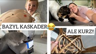 BAZYL KASKADER, ALE KURZ! 