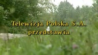Jest sprawa 2002