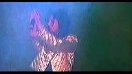 Ewa Skrzypek - To Karnawału Czas