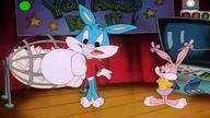 Tiny Toon Adventures 1990 S01E053 DUBpl