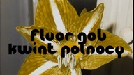 Fluor GOB KwiatPolnocy