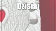 Koncerty, biegi, ogniska.  Tak będą świętować w powiecie puławskim